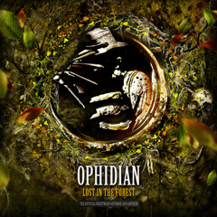 Lost in the Forest (Furyan Remix)
