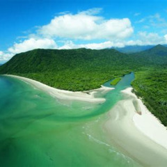 Best Cape Tribulation Mossman Gorge And Daintree Rainforest Day Trip From Cairns Or Port Douglas Tours Review