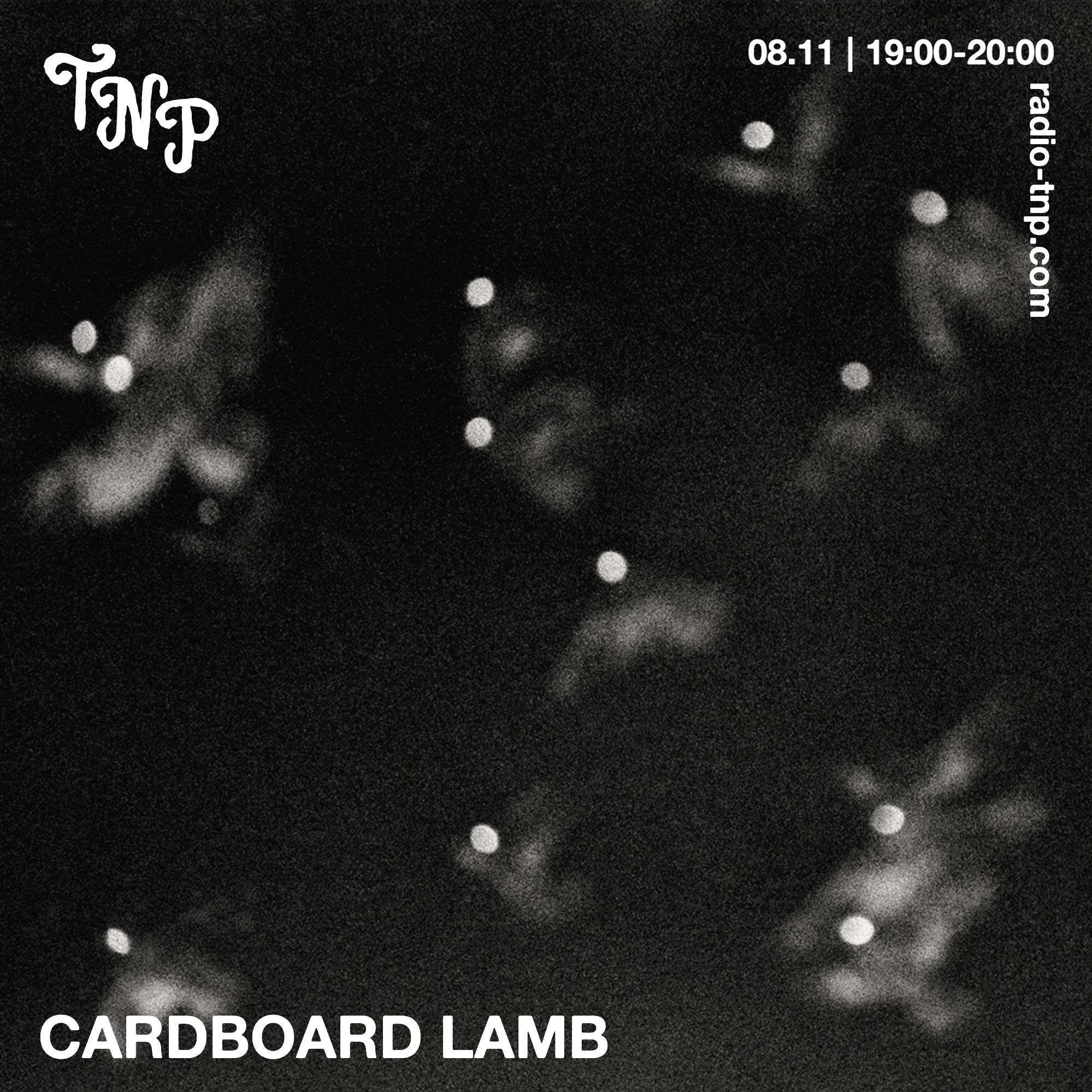 Cardboard Lamb