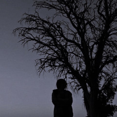 meet me at the tree swing