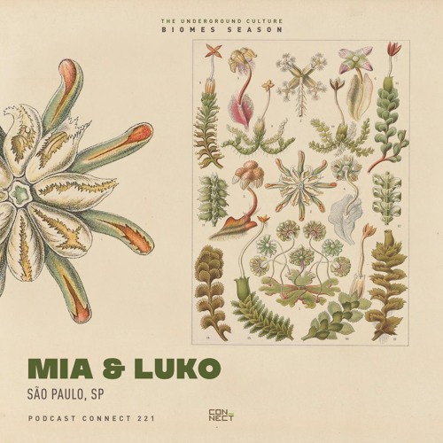 Mia & Luko @ Podcast Connect #221 - São Paulo, SP