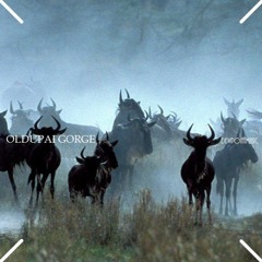 OLDUPAI GORGE  >>>> - Jazz-influenced Deep House-JazzFunk-JazzLatino