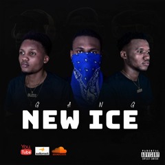 New Ice - Gang