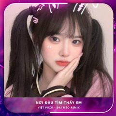 Nơi Đâu Tìm Thấy Em (Đại Mèo Remix)
