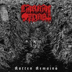 CARNAL TOMB - Waking In A Casket