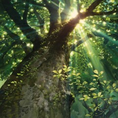 silent forest