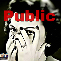 Public ft 252wess