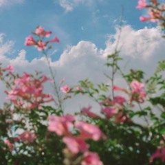 Песня о не взаимной любви