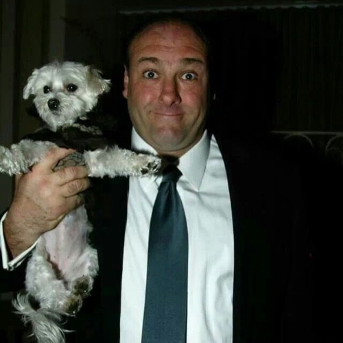 🐶