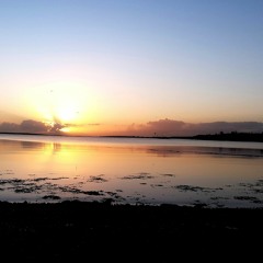 savy - guitar from redbone x id rather be with you (Bootsy Collins) x (Childish Gambino)