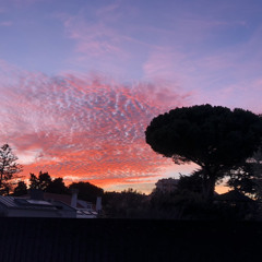 Let's Stay Up A Little Bit Longer