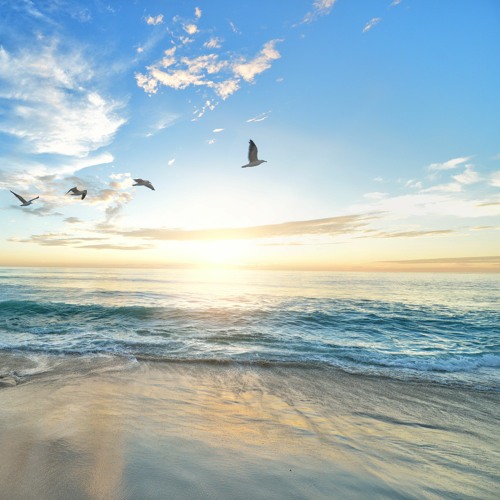 Bringing Calmness And Light To Our Being