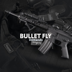 Bullet Fly