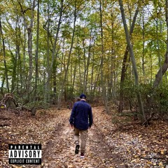 Walk In The Park (2022 Freestyle)