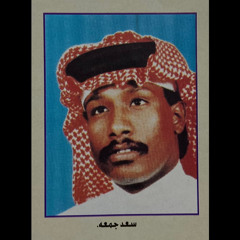 ناظرتني بالعيون اللي هدبها .. حاجب عن خدّها شمس النهار