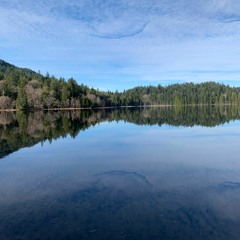 #OutsideCompetition (There Is Life Outside)