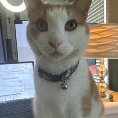 hoe (prod. Gayboi Sussy)