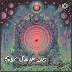 Sid Jenkins - Somebody loves psychedelics