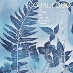 Egidija Medekšaitė: Textile 1 (excerpt)