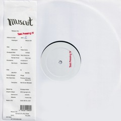 VA Test Pressing IV (Muscut 30, 12" comp) excerpts