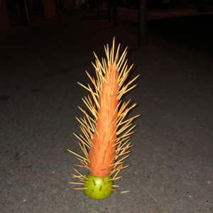 Ressources Naturelles en direct des Clameurs  •  Elon Skum & Hharah (10.03.26)