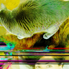 Your Cat Walked On My Hair!!