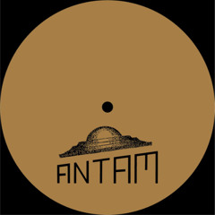 Premiere : Kiddy Castle - Salut (ANTAM011)
