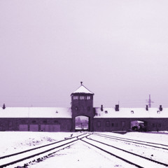 The Nazi Experiment, Vol. 9: The Centrality of the Jewish Question