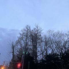 私が私を愛せる日まで(点灯Ⅸ)