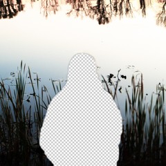 Ambient