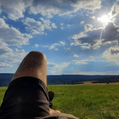 May(Be) Relaxing Mushroom Trip (Frenchcore/Hardcore)