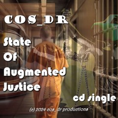 State Of Augmented Justice