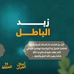 أمثال القرآن 11 | زبد الباطل | د. رامي النحراوي