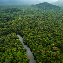 “The Amazon” TYPE BEAT