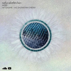 Episodio 55 - Natural Selection With Jhonatan Ghersi