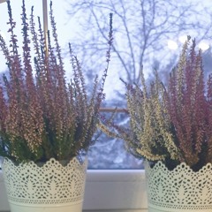 Faithless - We Come 1 (POLTRGEIST Remix).mp3