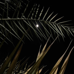 خالد عبدالرحمن - الشتا و الليل و البرد ( الذاهبه )