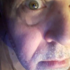 167. Love That Has Faded-Williams (2023)