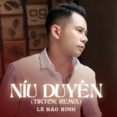 Níu Duyên (TikTok Remix)