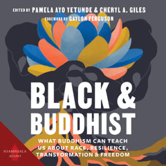 Black and Buddhist audiobook sample