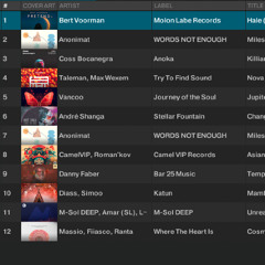 Into Your Tribe - Death on the Balcony, M-Sol DEEP, RIGOONI (Organic House OCT 30)