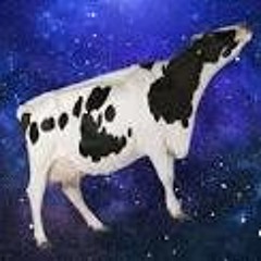 Space Cows Tiedyeky Gjones Pipus Blue mango )flip(