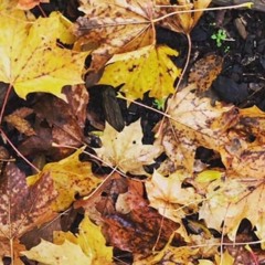 yellow (cover) 🎹 🎸