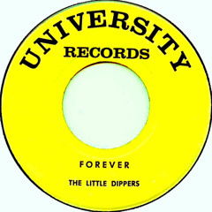 Forever-The Little Dippers 1 hour