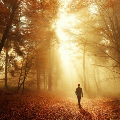 Walking
