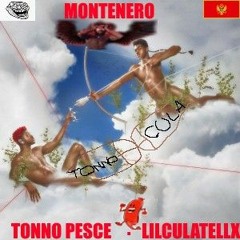 MONTENERO  LILCULATELLX & TONNOPESCE (REMIX  MONTERO di LIL NAS X)