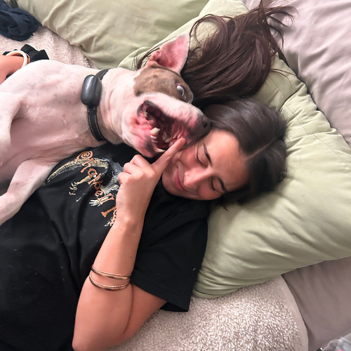 gk chacho - hello gk prod me