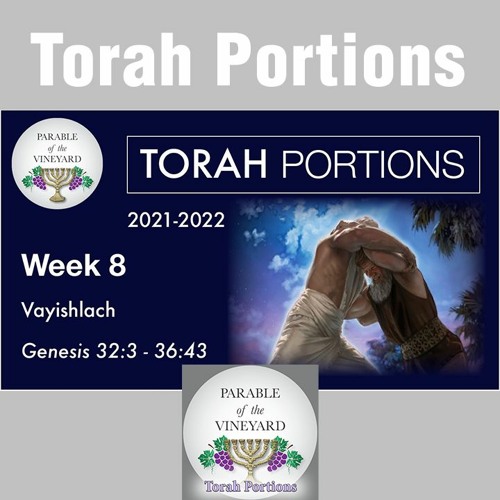 Torah Portions - Week 8 -  Vayishlach - Genesis 32:3 - 36:43 (2021-2022)
