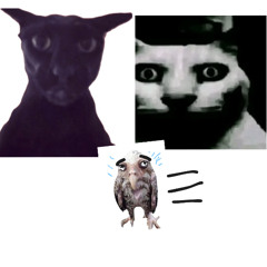 THE CREATURE