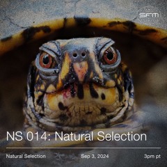 NS014 w/ Natural Selection